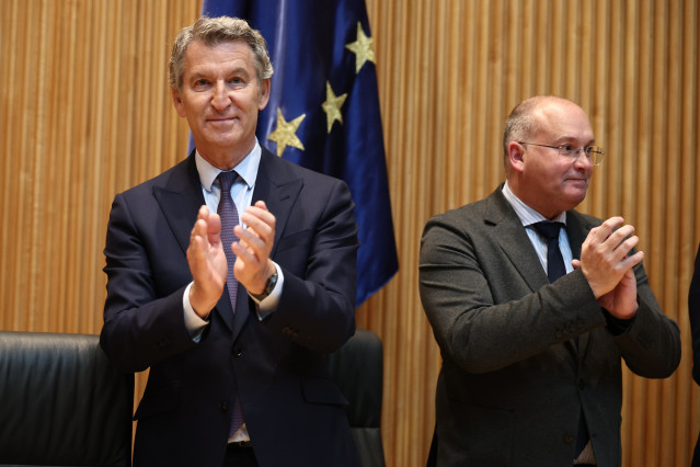 El presidente del Partido Popular, Alberto Núñez Feijóo (i), y el secretario general del PP, Miguel Tellado (d), durante la reunión plenaria de los Grupos Parlamentarios del Partido Popular del Congreso y del Senado, en el Congreso de los Diputados, a 14