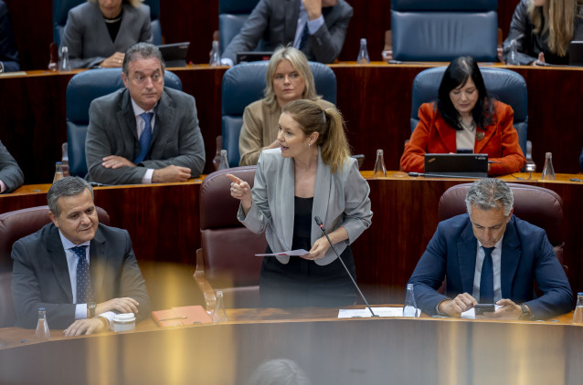 La consejera de Familia, Juventud y Asuntos Sociales de la Comunidad de Madrid, Ana Dávila