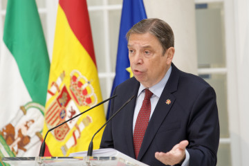 El ministro de Agricultura, Pesca y Alimentación, Luis Planas, ofrece una rueda de prensa para informar sobre la reunión mantenida con el comisario europeo de Salud y Bienestar de los Animales, Oliv