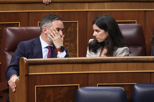 El presidente de Vox, Santiago Abascal, y la portavoz de Vox en el Congreso, Pepa Millán, durante un pleno en el Congreso de los Diputados, a 15 de abril de 2026, en Madrid (España). Pleno de control al Gobierno con preguntas e interpelaciones de la oposi