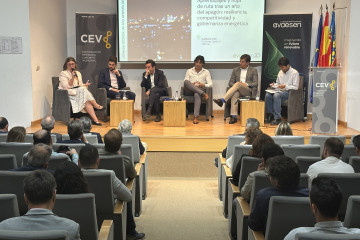 Jornada 'Un año después del apagón: aprendizajes y hoja de ruta' organizada por AVAESEN