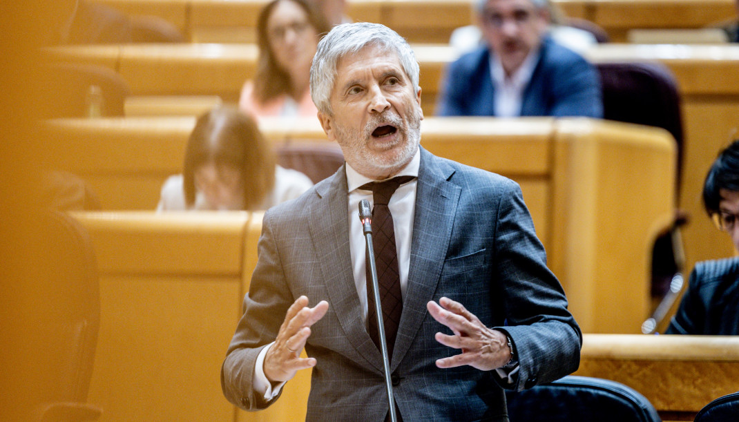 El ministro del Interior, Fernando Grande Marlaska, interviene durante la sesión de control al Gobierno en el Senado
