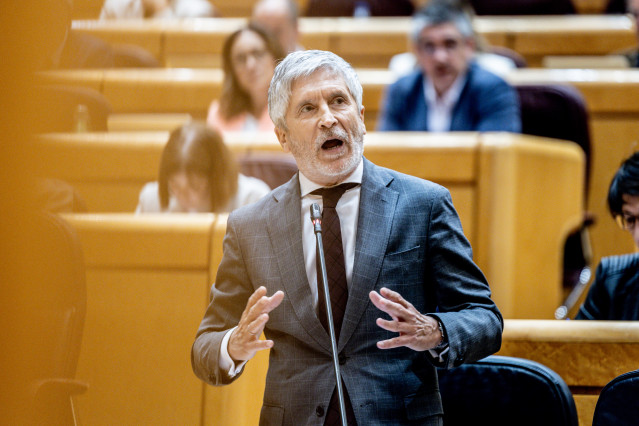 El ministro del Interior, Fernando Grande Marlaska, interviene durante la sesión de control al Gobierno en el Senado