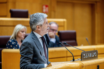 El ministro del Interior, Fernando Grande Marlaska, durante la sesión de control al Gobierno en el Senado