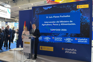 El ministro de Agricultura, Pesca y Alimentación, Luis Planas