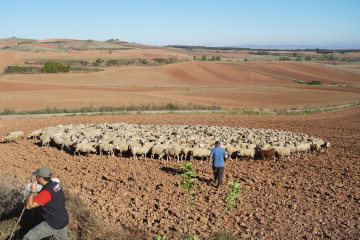 Archivo - Las medidas recurridas se basan en deducciones por instalarse en el mundo rural