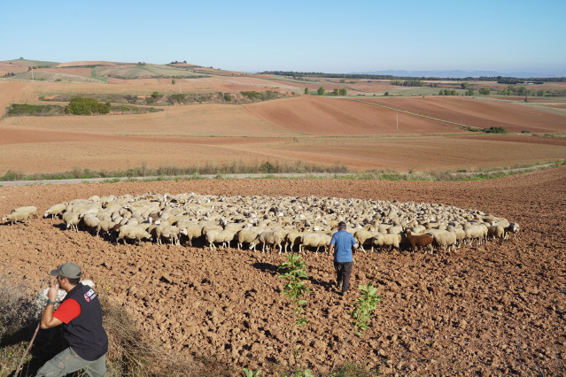 Archivo - Las medidas recurridas se basan en deducciones por instalarse en el mundo rural