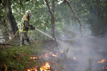 Archivo - Bombero forestal