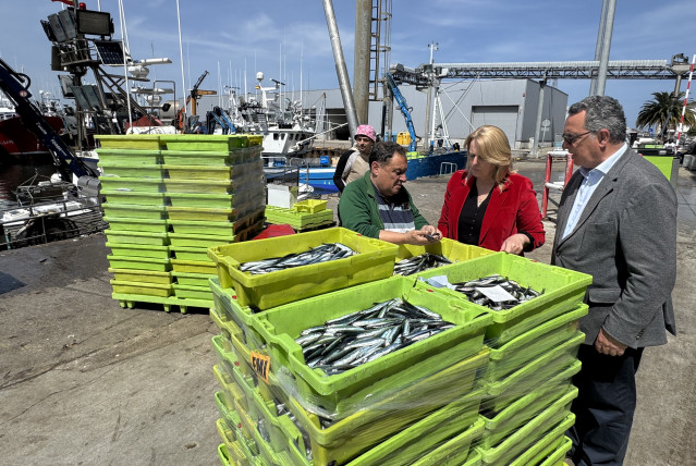 Costera del bocarte en el Puerto de Santoña.