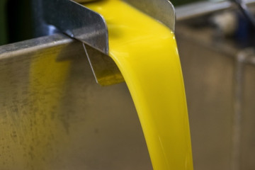 Producción de aceite de oliva.