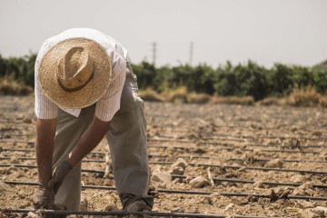 Trabajador en el campo