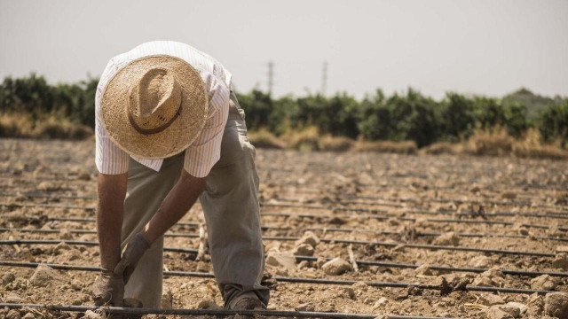 Trabajador en el campo
