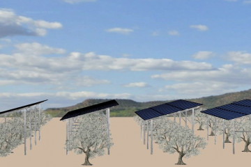 Infografía del proyecto