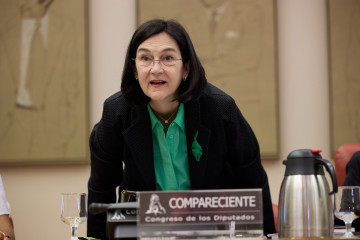 Archivo - La presidenta de la Comisión Nacional de los Mercados y Competencia (CNMC), Cani Fernández