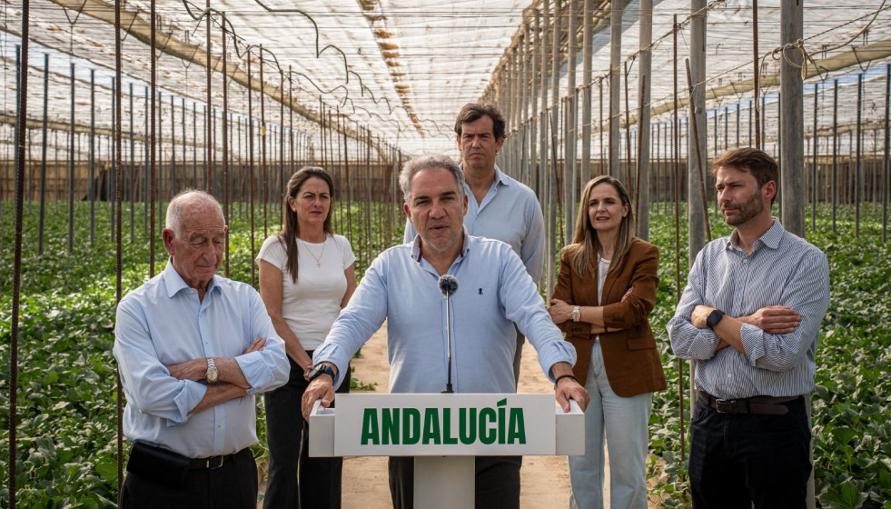 El vicesecretario de Coordinación Autonómica, Local y Análisis Electoral del PP, en una rueda de prensa.