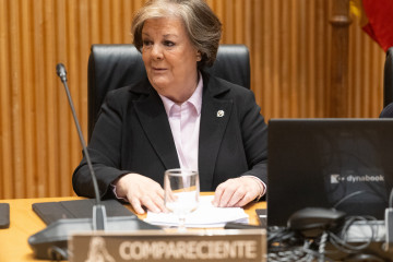 Archivo - La presidenta del Tribunal de Cuentas, Enriqueta Chicano Jávega