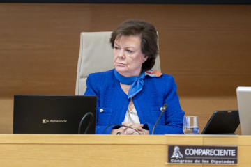 La presidenta del Tribunal de Cuentas, Enriqueta Chicano, comparece ante la Comisión Mixta