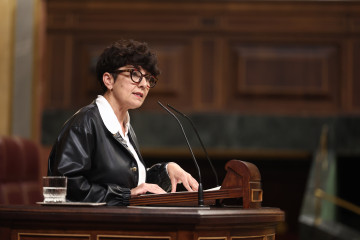 La diputada del PNV Maribel Vaquero, interviene durante una sesión plenaria en el Congreso