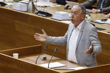 El síndic de Compromís, Joan Baldoví, durante una sesión de control, en Les Corts Valencianes
