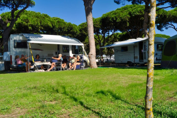 Camping Pinar San José.