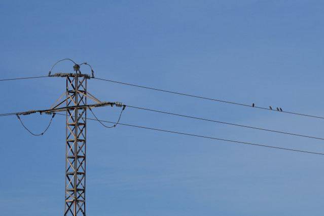 Archivo - Un poste de luz, a 5 de diciembre de 2025, en Barberà del Vallès, Barcelona, Catalunya (España).