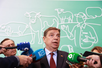 Archivo - El ministro de Agricultura, Pesca y Alimentación, Luis Planas, en imagen de archivo.