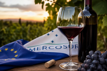 Vino español y Mercosur