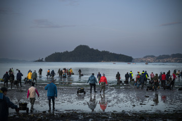Archivo - Mariscadores trabajan en la Playa de Lourido