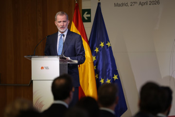 El Rey Felipe VI