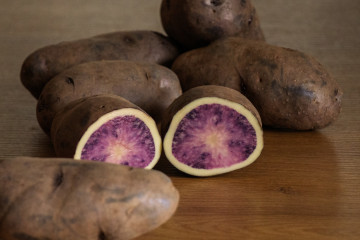 Neiker registra 'Atsegiñe', una nueva variedad de patata de carne bicolor orientada a la industria de 'chips'