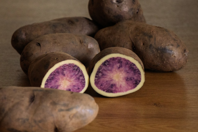 Neiker registra 'Atsegiñe', una nueva variedad de patata de carne bicolor orientada a la industria de 'chips'