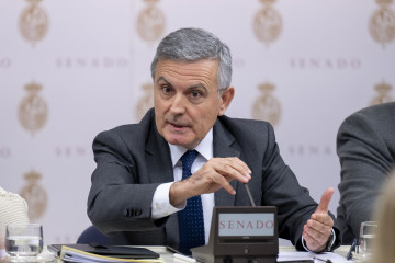 El ex secretario de Estado de Infraestructuras, Transporte y Vivienda en el Ministerio de Fomento ypresidente del Grupo Correos, Pedro Saura, ante la Comisión de Investigación sobre el estado de la 
