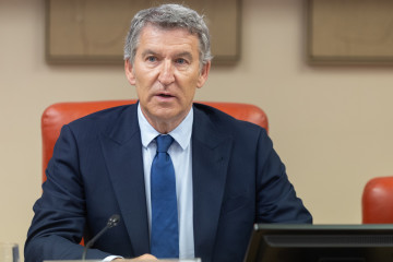 El presidente del PP, Alberto Núñez Feijóo, en una jornada del Grupo Popular en el Congreso.