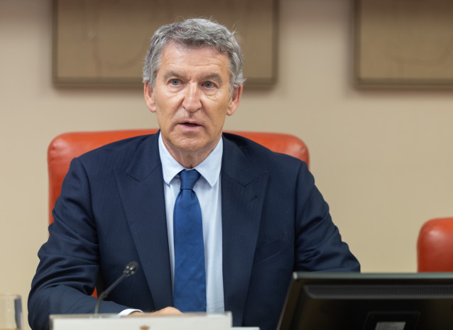 El presidente del PP, Alberto Núñez Feijóo, en una jornada del Grupo Popular en el Congreso.