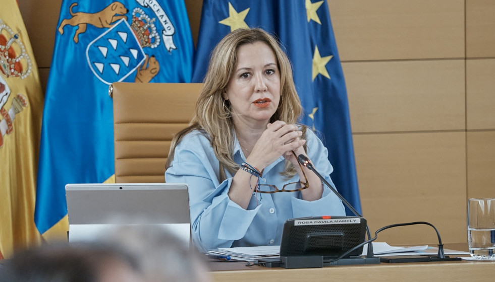 Archivo - Rosa Dávila, presidenta del Cabildo de Tenerife, en un pleno