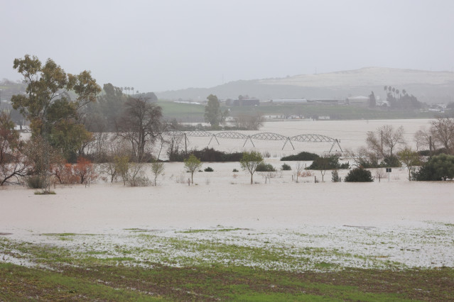 Archivo - Imagen de la vega del Guadalete inundada tras el desbordamiento del río a su paso por la localidad gaditana de Jerez de la Frontera