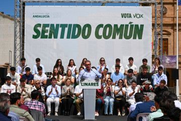 Imágenes del acto de campaña celebrado por Vox Andalucía en Linares.