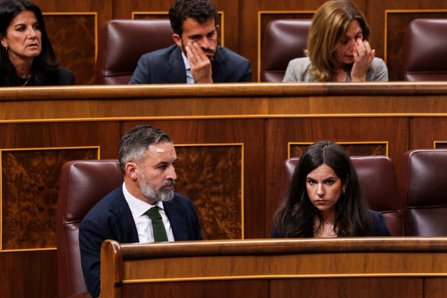 El presidente de Vox, Santiago Abascal, y la portavoz de Vox en el Congreso, Pepa Millán, durante una sesión plenaria en el Congreso