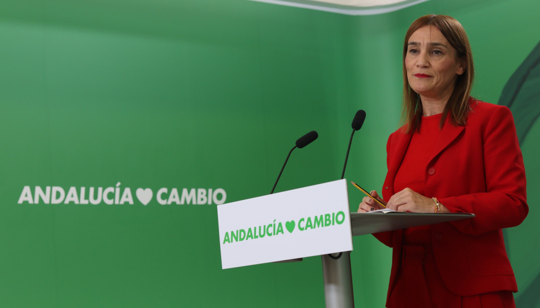 EuropaPress 7122773 secretaria igualdad psoe a olga manzano rueda prensa sevilla