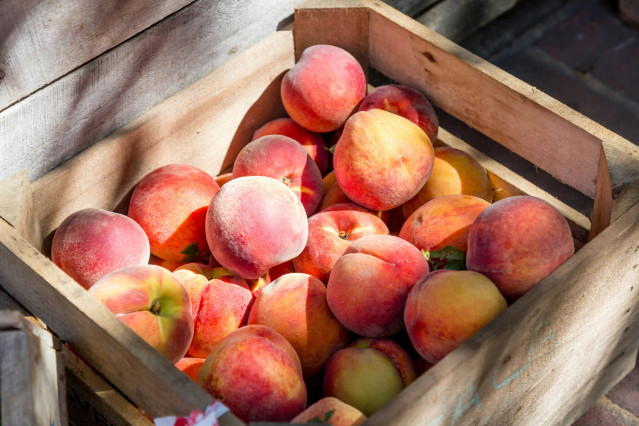 Archivo - Fruta de hueso