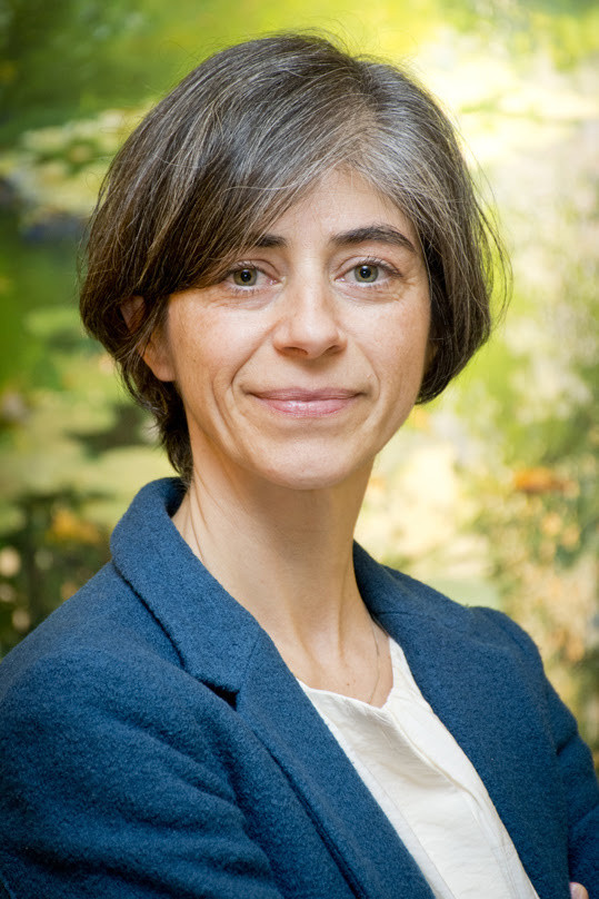 Archivo - Nagore Iriberri, profesora de investigación IKERBASQUE en la Universidad del País Vasco UPV/EHU
