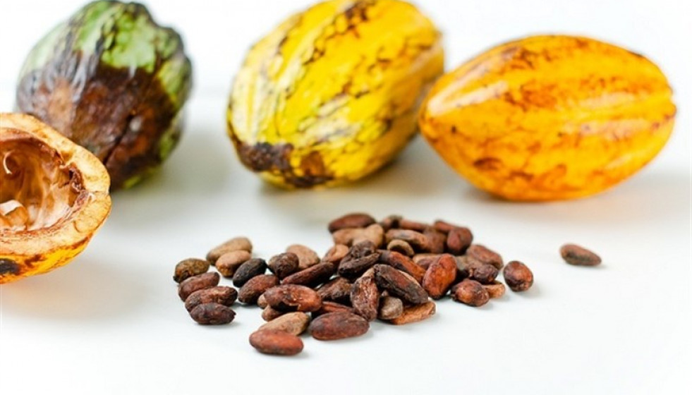 Cacao
