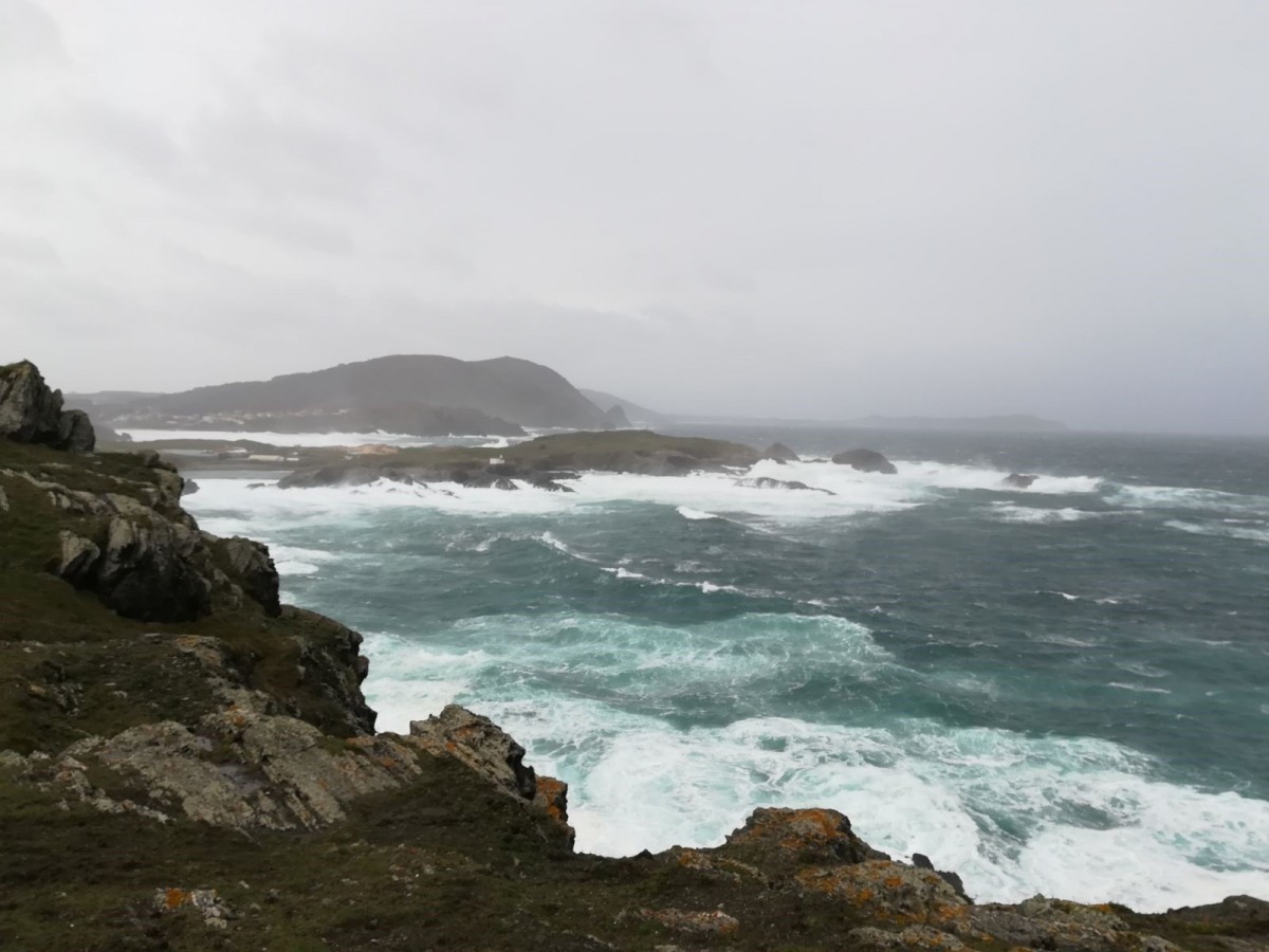 Temporal mar