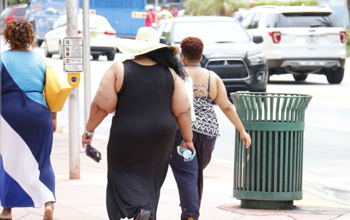 Obesidadytrafico