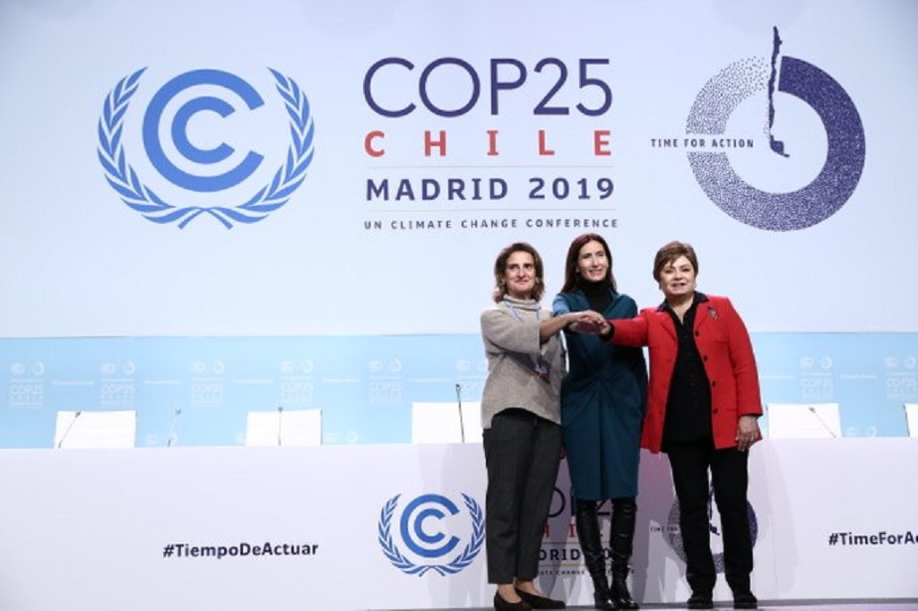 COP25, Cumbre del Clima