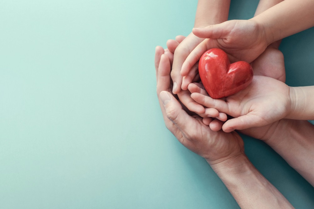 Solidaridad, amor. Manos sosteniendo un corazón.