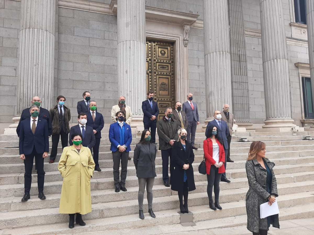 Diputados y diputadas de Vox se concentran en la Puerta de los Leones del Congreso con motivo del 25N, Día Internacional de la eliminación de la violencia contra las mujeres.