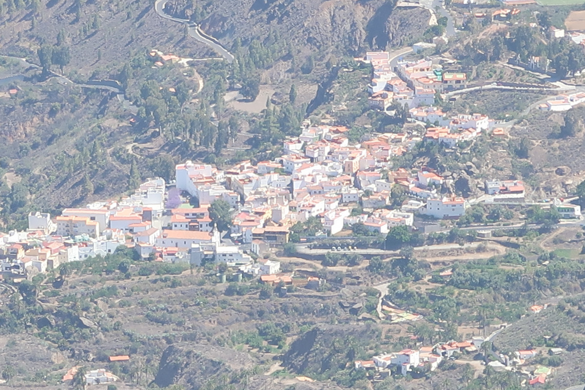 Tunte desde el Pico de las Nieves