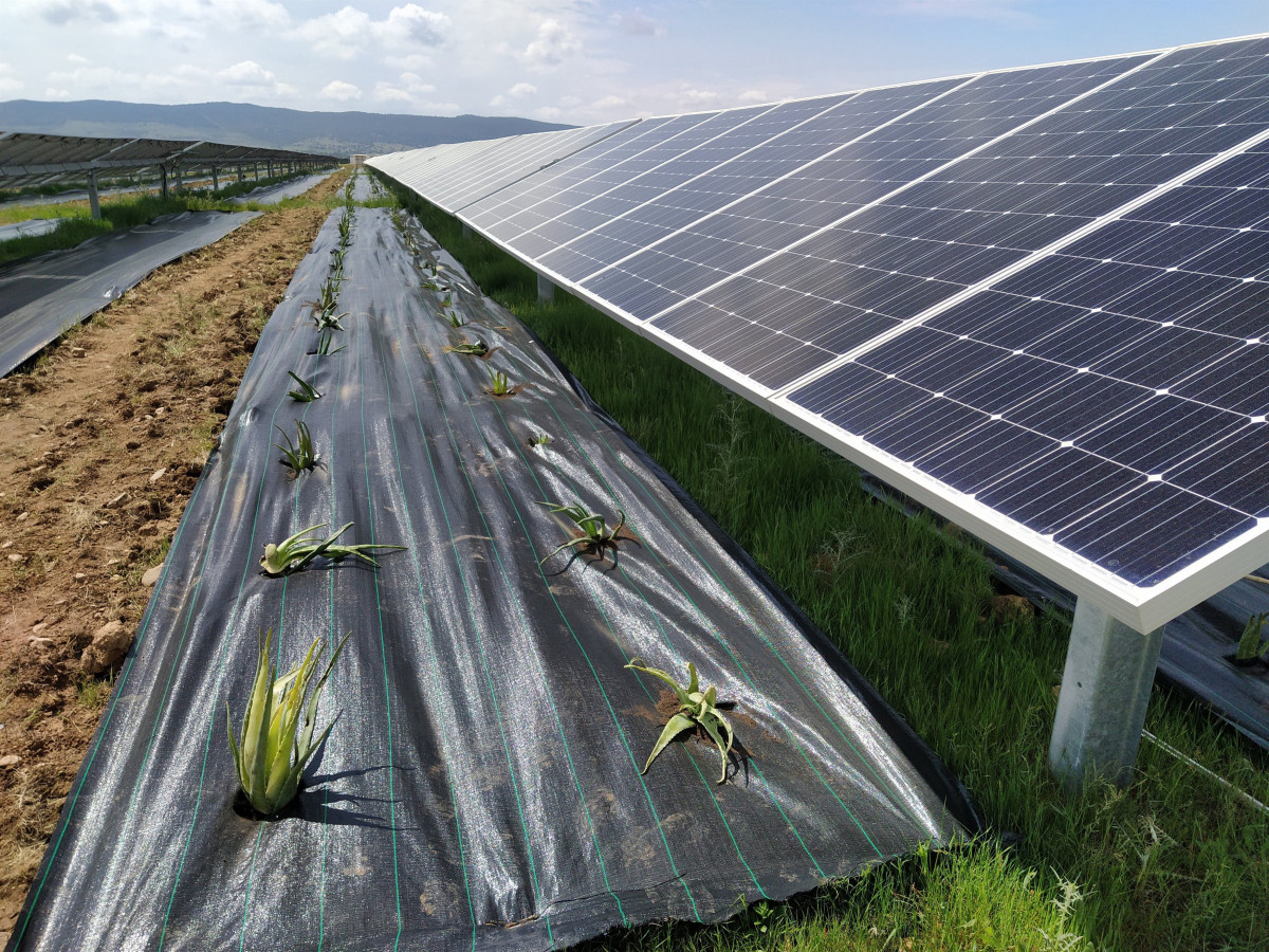 Archivo - Plata fotovoltaica de Valdecaballeros