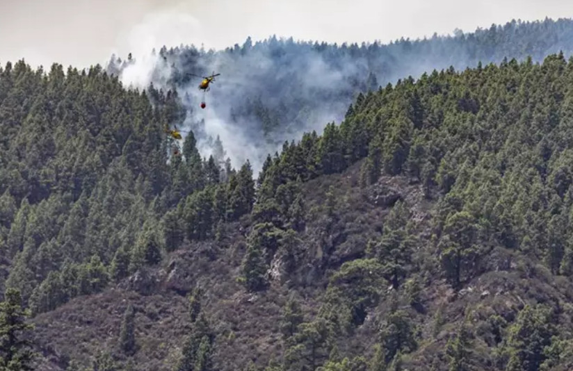 Catalunyapress incenditenestab